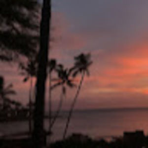 Meet your Posher, Sophia